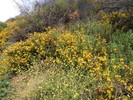photo thumbnail #14