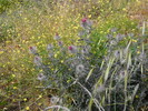 photo thumbnail #15