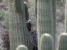 photo thumbnail #5