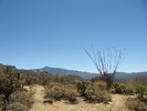photo thumbnail #2