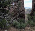 photo thumbnail #12
