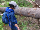 photo thumbnail #5