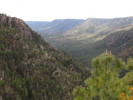 photo thumbnail #10