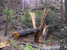 photo thumbnail #11