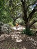 photo thumbnail #5