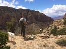 photo thumbnail #12