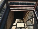 photo thumbnail #13