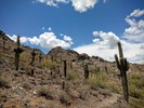 photo thumbnail #3