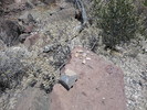 photo thumbnail #3