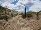 photo thumbnail #7
