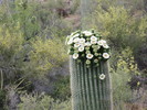 photo thumbnail #10