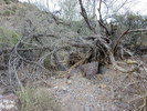 photo thumbnail #15