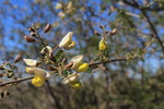 photo thumbnail #5