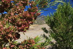 photo thumbnail #12