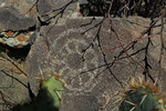 photo thumbnail #13