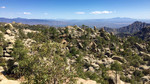 photo thumbnail #5