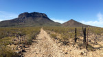 photo thumbnail #2