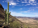 photo thumbnail #5