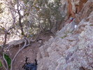 photo thumbnail #4