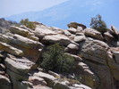 photo thumbnail #12