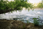 photo thumbnail #10