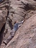 photo thumbnail #15