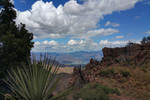 photo thumbnail #5