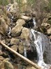photo thumbnail #13