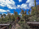 photo thumbnail #3
