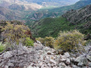 photo thumbnail #9