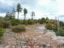 photo thumbnail #13
