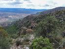 photo thumbnail #14