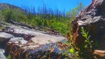 photo thumbnail #6