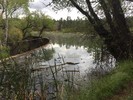 photo thumbnail #10