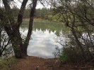 photo thumbnail #13