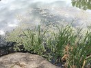 photo thumbnail #15