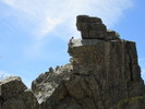 photo thumbnail #13