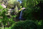 photo thumbnail #5