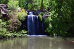 photo thumbnail #7