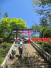 photo thumbnail #2