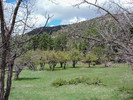 photo thumbnail #12