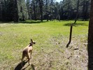 photo thumbnail #8