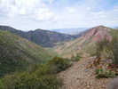photo thumbnail #2