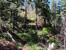 photo thumbnail #1
