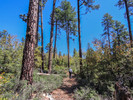 photo thumbnail #4