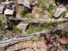 2016-05-02 :1: Pueblo Canyon Overlook via Murphy Ranch #141 :: Oregon_Hiker