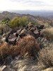 photo thumbnail #3