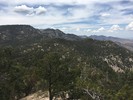 photo thumbnail #1