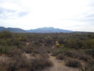photo thumbnail #1
