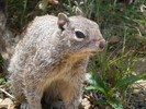 photo thumbnail #14